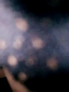 Hotpussy3ox online show from September 18, 8:05 am