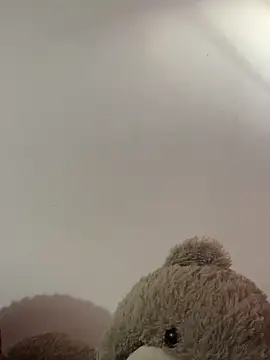 Snapshot of Andricastro chatting on February 18, 11:33 am Andricastro online show from February 18, 11:33 am