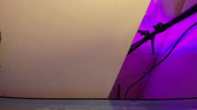 sarah  bigboobs online show from March 3, 3:34 am