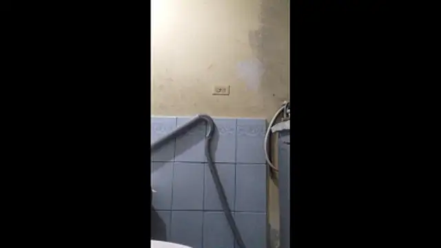 Dmoa34 online show from January 13, 3:56 am