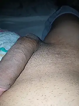 taylorWiiz online show from November 26, 4:57 am