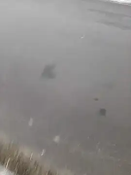 BRUNNA online show from March 20, 3:34 am