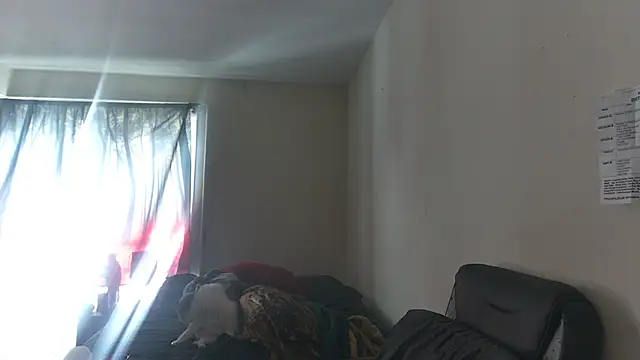 Snapshot of RickStone51 chatting on March 2, 7:21 pm RickStone51 online show from March 2, 7:21 pm