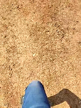 Ishan003 online show from February 8, 5:22 am