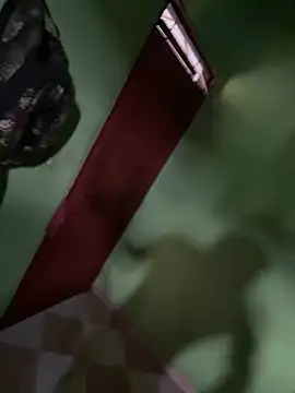 Alphadavid 23 online show from February 26, 7:16 pm