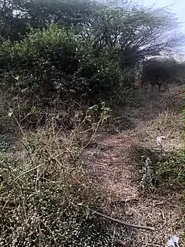 Abinash7732 online show from February 1, 3:05 am