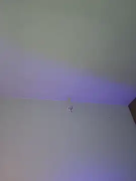 mich bittersweet online show from April 17, 11:19 pm