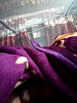 Snapshot of 900irani chatting on December 17, 12:12 am 900irani online show from December 17, 12:12 am