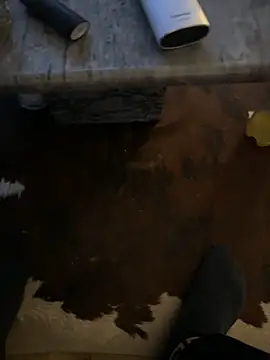 Tyson8897 online show from January 7, 7:55 am