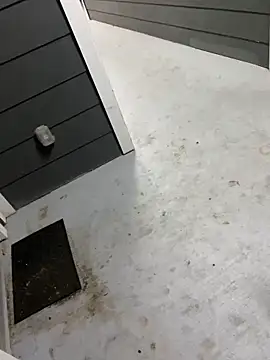 zeekBbc online show from February 9, 5:00 am