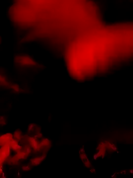 DaniSexFlow online show from March 31, 8:04 am