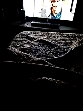 minitranca online show from February 21, 3:18 am