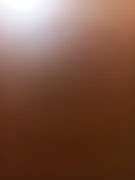 wildfox566 online show from June 14, 3:52 am