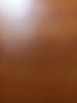 wildfox566 online show from June 17, 3:42 am