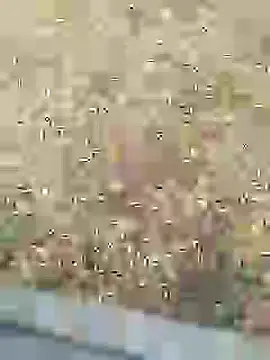 Mrveda66 online show from February 10, 11:03 am