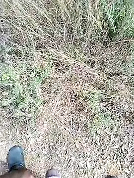 Mrveda66 online show from February 23, 6:11 am