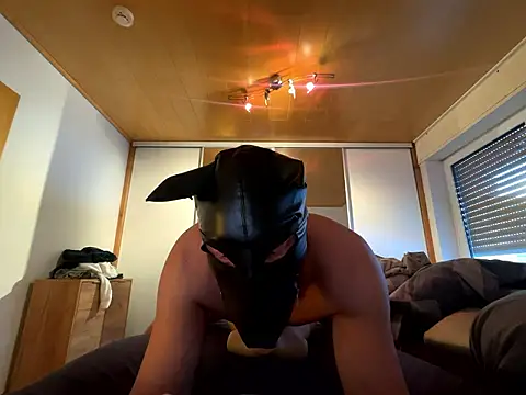 PlayDog123 online show from January 11, 1:49 pm