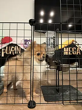 kensnb online show from March 9, 9:08 pm