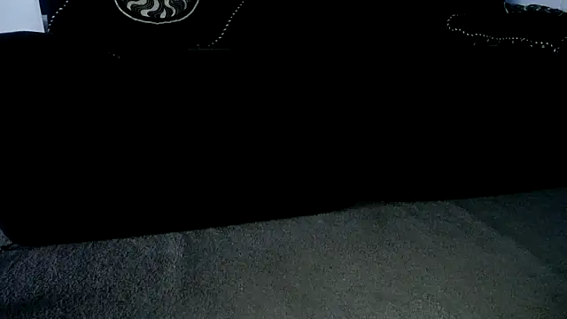 Snapshot of Niquitasparkles chatting on December 2, 3:56 am Niquitasparkles online show from December 2, 3:56 am