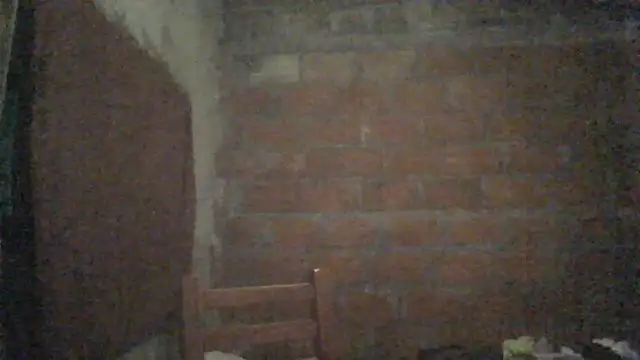 elsaiya online show from September 22, 12:01 am