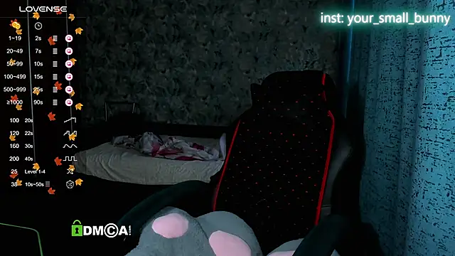 Your small bunny online show from November 15, 2:09 am