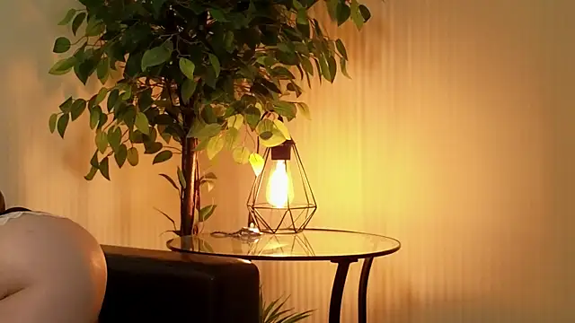 Risky dream online show from December 14, 12:55 pm