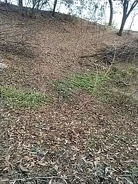 jellydicks online show from February 28, 11:55 am