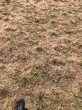 Snapshot of Black_mamba_madingo chatting on December 10, 3:01 pm Black mamba madingo online show from December 10, 3:01 pm