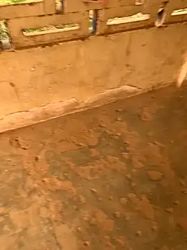 Snapshot of Black_mamba_madingo chatting on December 23, 2:28 pm Black mamba madingo online show from December 23, 2:28 pm