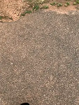 Snapshot of Black_mamba_madingo chatting on February 15, 12:11 pm Black mamba madingo online show from February 15, 12:11 pm