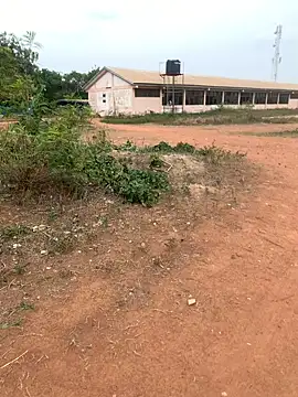 Snapshot of Black_mamba_madingo chatting on February 22, 3:25 pm Black mamba madingo online show from February 22, 3:25 pm