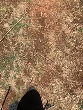 Snapshot of Black_mamba_madingo chatting on February 23, 1:10 pm Black mamba madingo online show from February 23, 1:10 pm