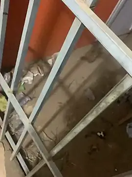 Snapshot of Black_mamba_madingo chatting on March 12, 4:08 am Black mamba madingo online show from March 12, 4:08 am