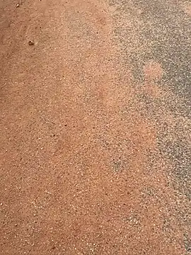 Snapshot of Black_mamba_madingo chatting on March 20, 7:47 am Black mamba madingo online show from March 20, 7:47 am