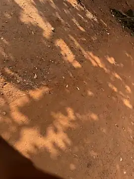 Snapshot of Black_mamba_madingo chatting on March 21, 8:41 am Black mamba madingo online show from March 21, 8:41 am