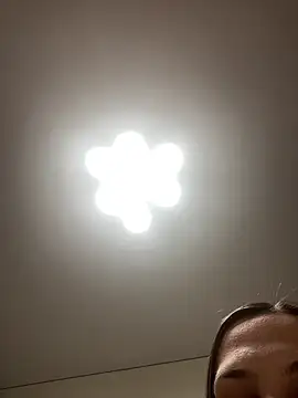 Janet Welder online show from April 2, 12:08 am