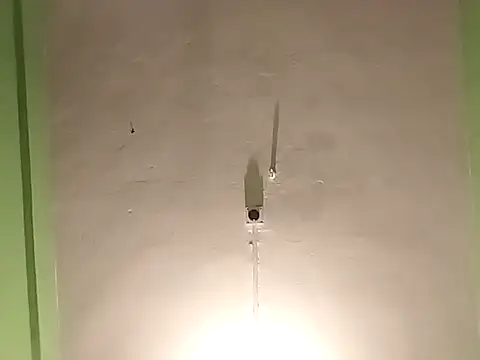 Snapshot of RADHAHO chatting on November 4, 5:34 pm RADHAHO online show from November 4, 5:34 pm