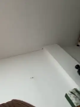 siri duque online show from January 7, 1:30 am