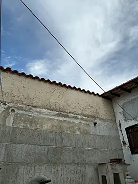 Leo bunny hot online show from October 5, 7:23 pm