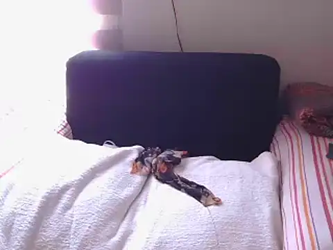 Snapshot of Mollybrookexx chatting on December 11, 8:04 am Mollybrookexx online show from December 11, 8:04 am