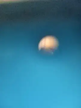 Sonya5156 online show from February 15, 3:28 pm