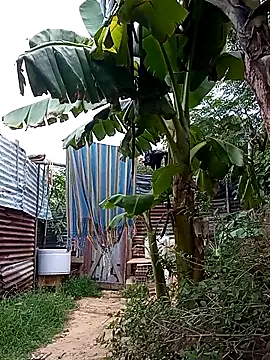 tayson  online show from March 14, 11:34 am