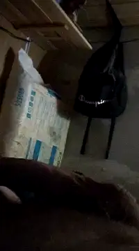 Snapshot of cockringkelley97 chatting on December 1, 4:29 pm cockringkelley97 online show from December 1, 4:29 pm