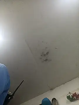 jeremiabello online show from February 14, 1:02 am