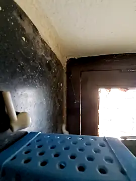 hot telugu dickK07 online show from December 10, 7:37 am