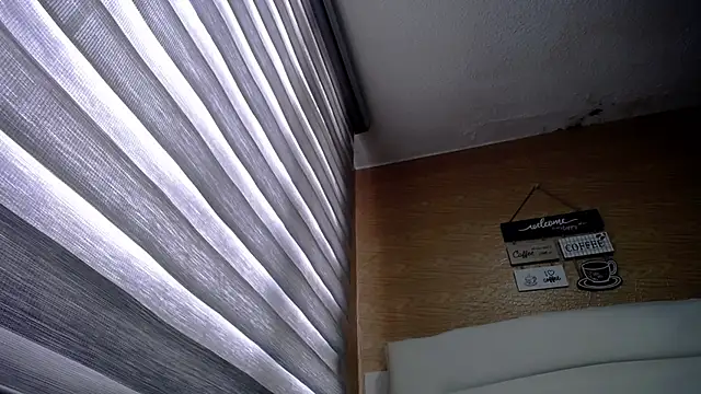 Snapshot of palmer_mIix chatting on December 10, 2:17 pm palmer mIix online show from December 10, 2:17 pm