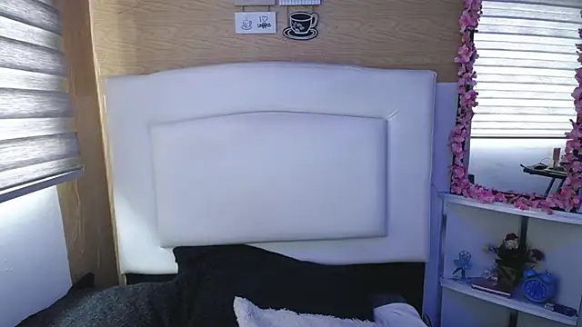 Snapshot of palmer_mIix chatting on March 6, 3:35 pm palmer mIix online show from March 6, 3:35 pm