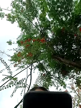 Karol-kamila19 online show from December 3, 9:01 pm