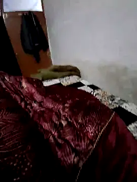 Snapshot of menakshiiikaur chatting on December 13, 2:16 pm menakshiiikaur online show from December 13, 2:16 pm