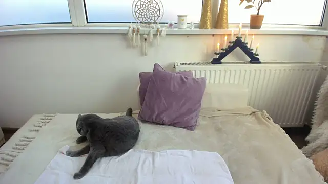 Arya Shinex online show from January 9, 8:13 am